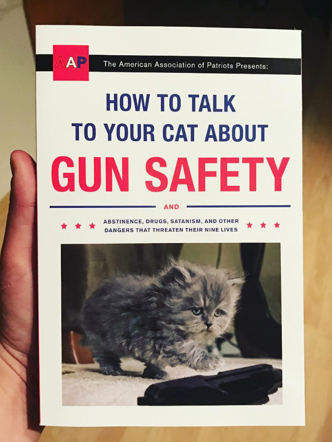 "How To Talk To Your Cat About Gun Safety" by Zachary Auburn