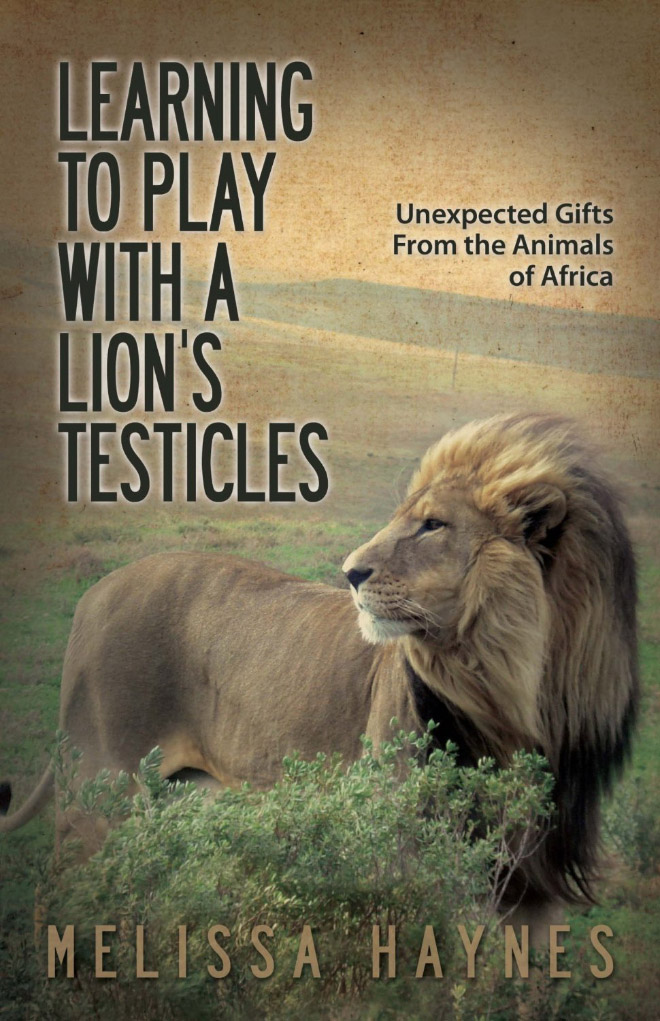 "Learning To Play With a Lion's Testicles" by Melissa Haynes