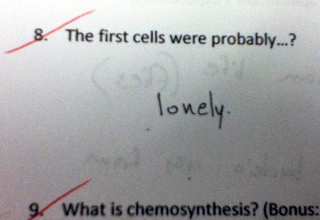 Funny test answer.