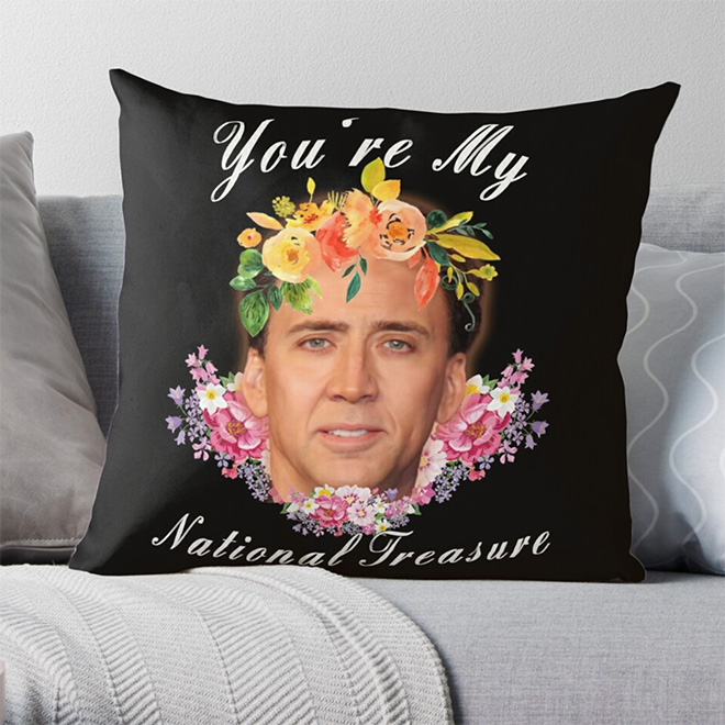 National treasure pillow.