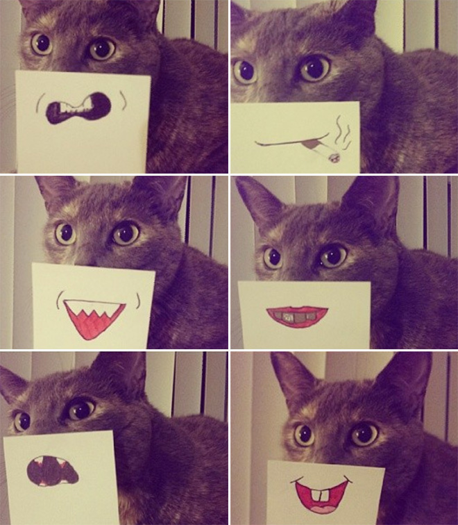 cartoon cat mouth