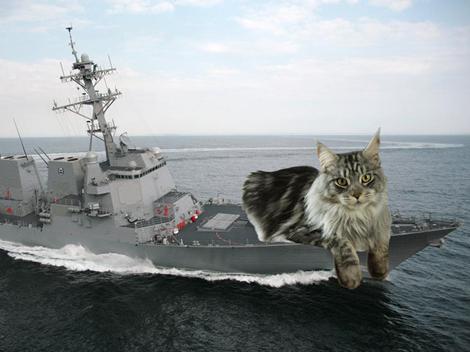 Giant military cats are the best cats.