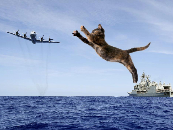 Giant military cats are the best cats.