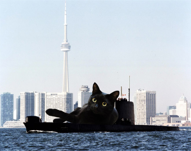 Giant military cats are the best cats.