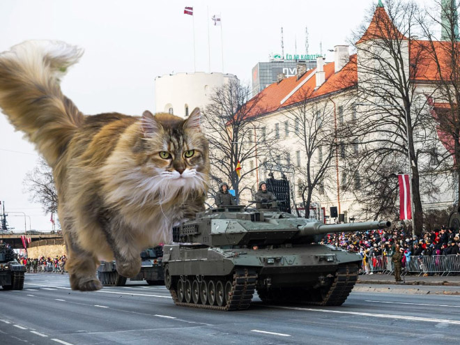 Giant military cats are the best cats.