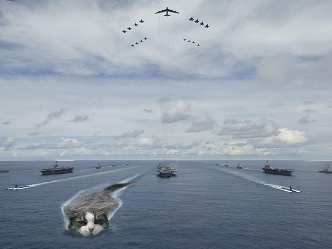 Giant military cats are the best cats.