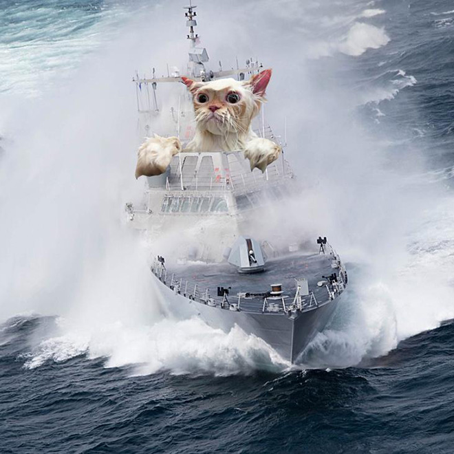 Giant military cats are the best cats.