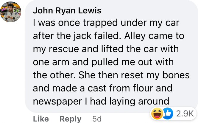 I was once trapped under my car after the jack failed. Alley came to my rescue and lifted the car with one arm and pulled me out with the other. She then reset my bones and made a cast from flour and newspaper I had laying around