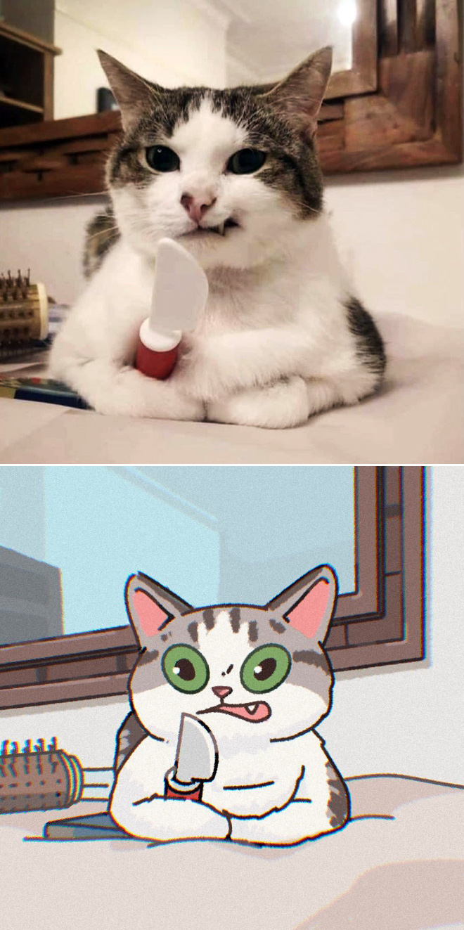 Cute cat drawing made from funny cat photo.