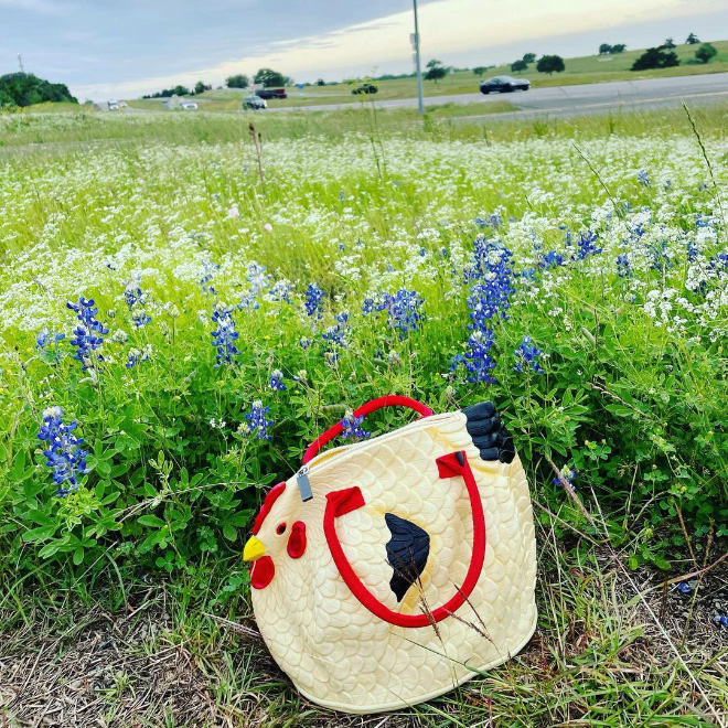 Chicken purse.