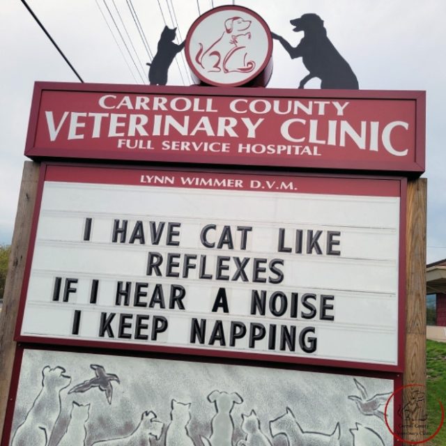 Carroll County Veterinary Clinic Has The Funniest Signs