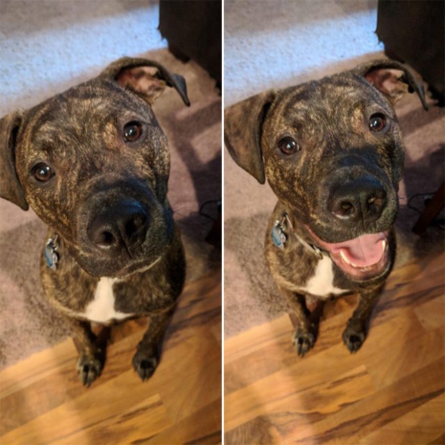 Before And After Pictures of Being Called a Good Boy