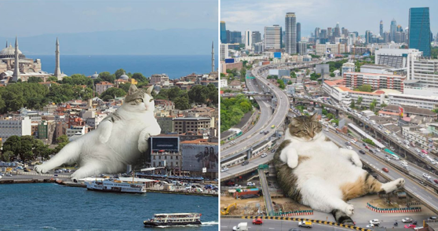 Cat Godzillas: Giant Cats In Cities by Fransdita Muafidin