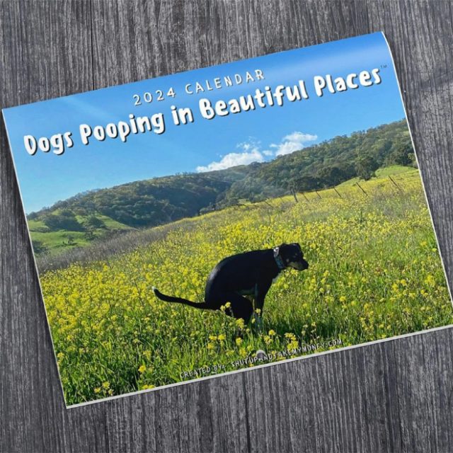 dogs-pooping-in-beautiful-places-calendar-2024-monthly-wall-art-family-calendar-hangable-gag