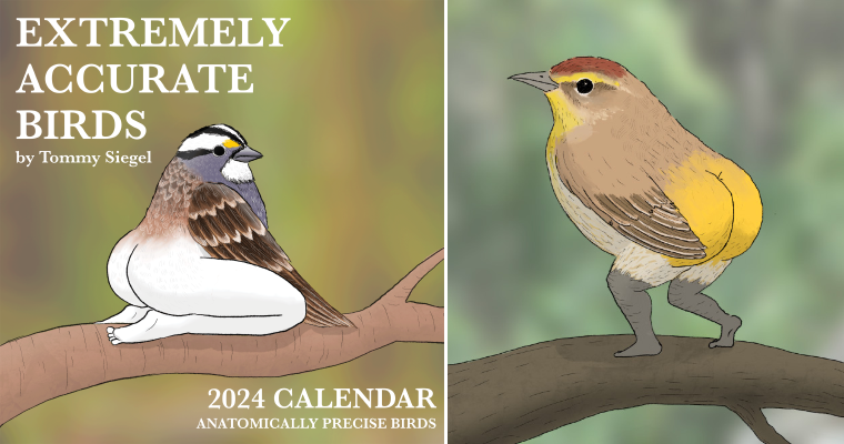 2024 Calendar of Extremely Accurate Birds Is Here