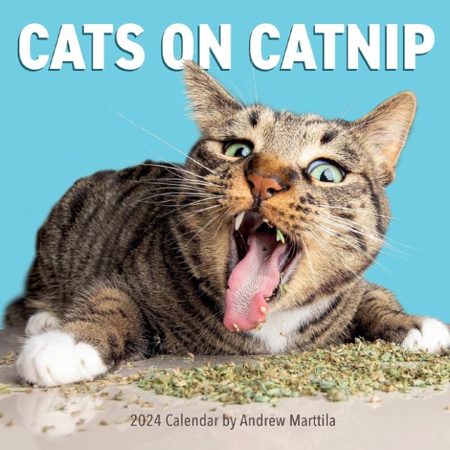 2024-cats-on-catnip-calendar-is-finally-here