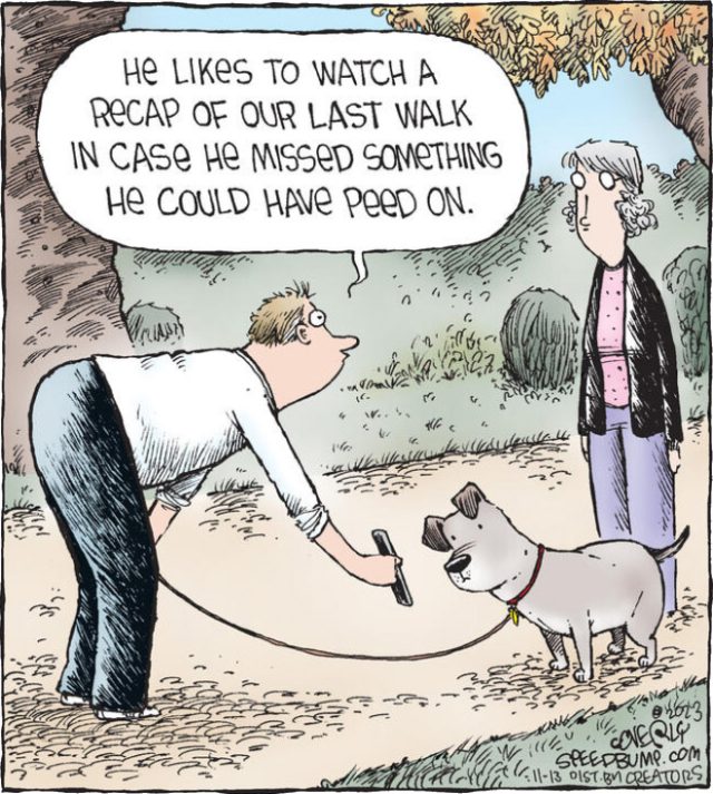 The Funniest Single-Panel Comics by Dave Coverly (Part 2)