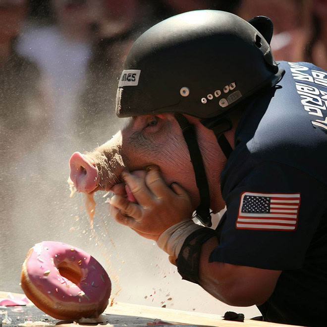 Police donut eating contest.