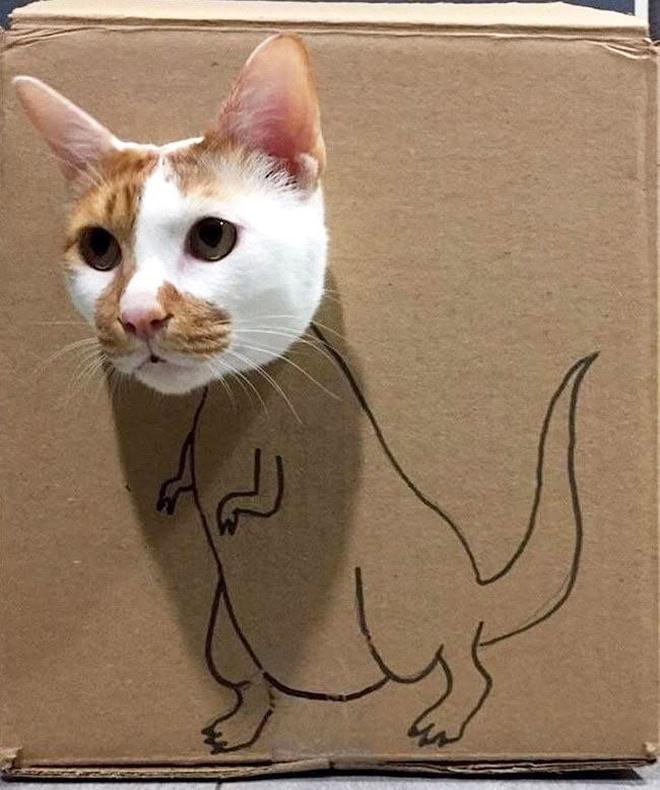 Cardboard dinosaur cat.