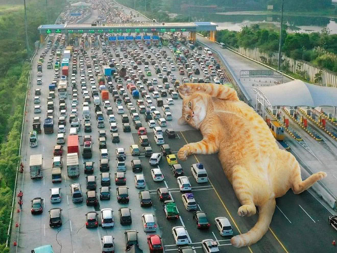 Catzilla.