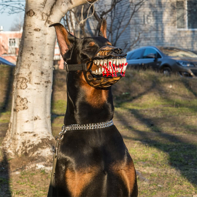 Scary dog muzzle.