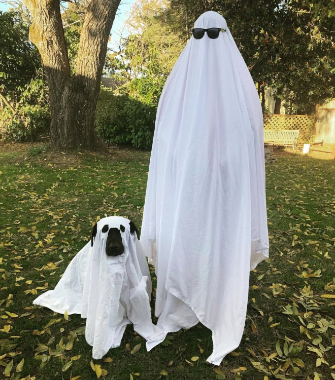 Dog ghost Halloween costume.