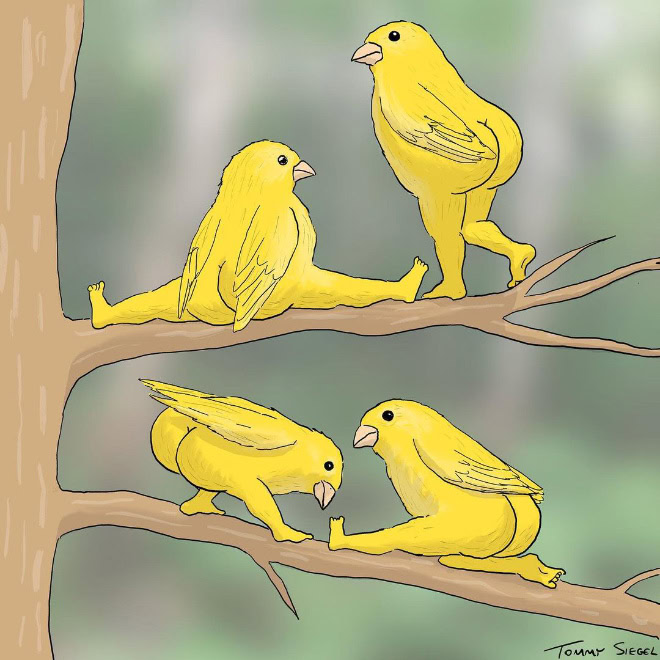 Extremely accurate birds drawing.