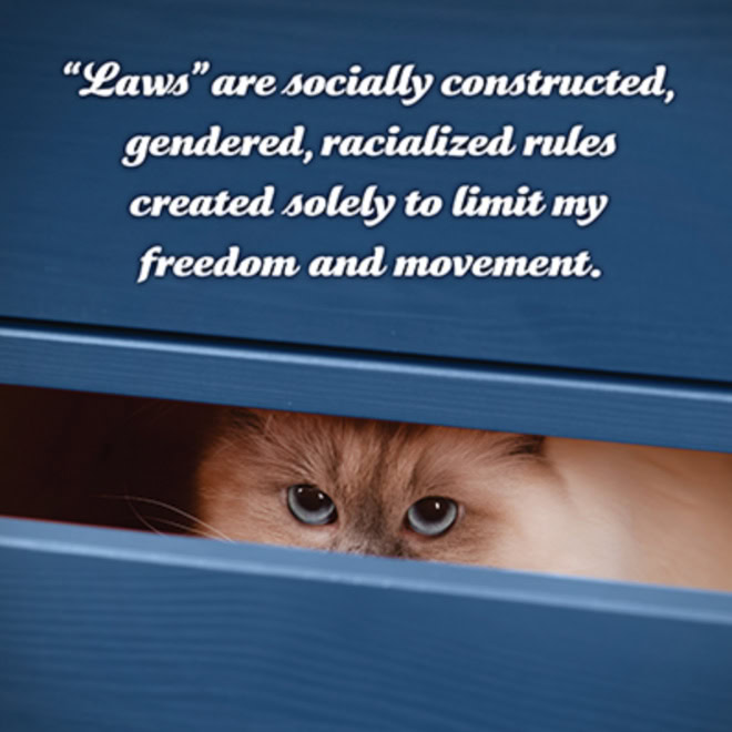 Social justice kittens.