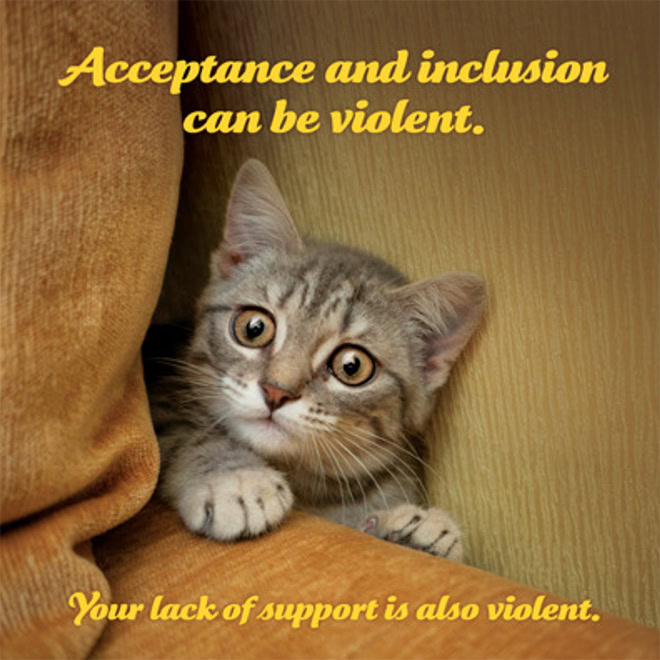 Social justice kittens.