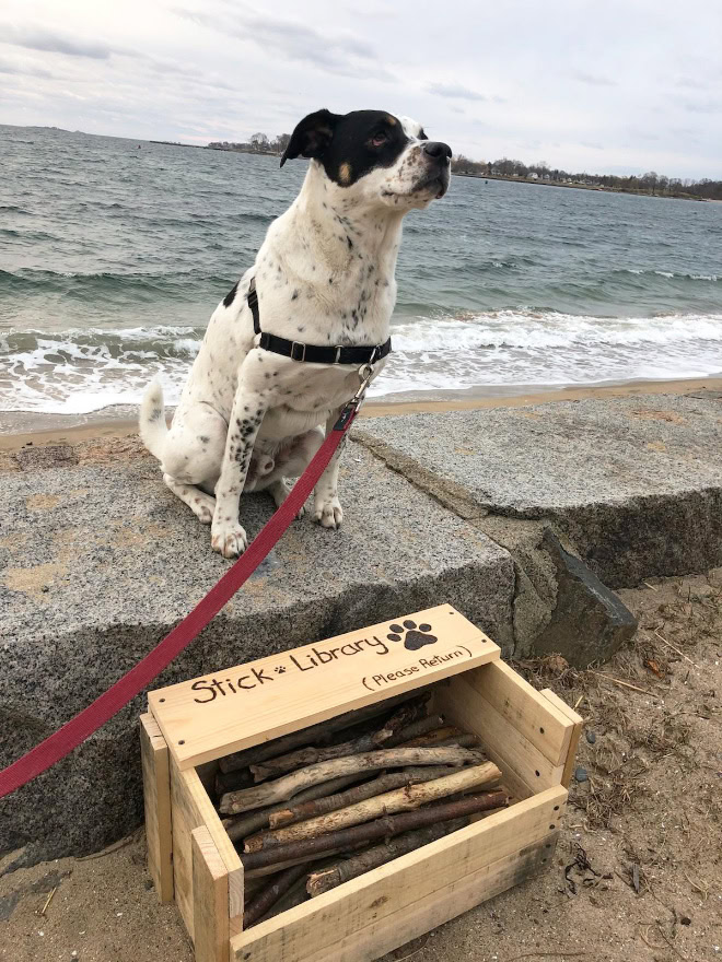 Dog stick library.