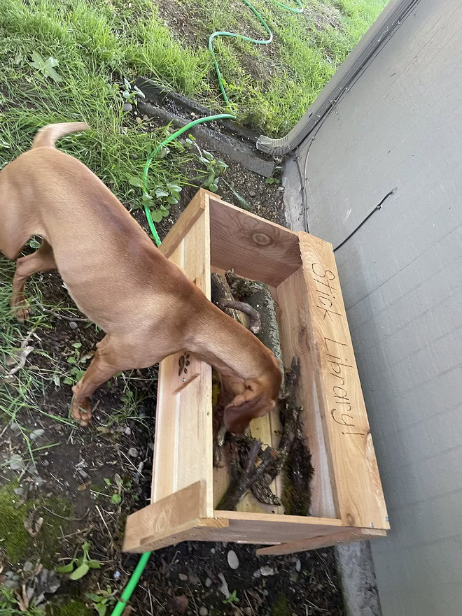 Dog stick library.