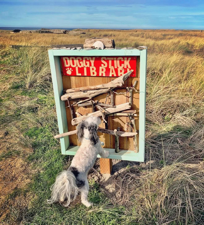 Dog stick library.