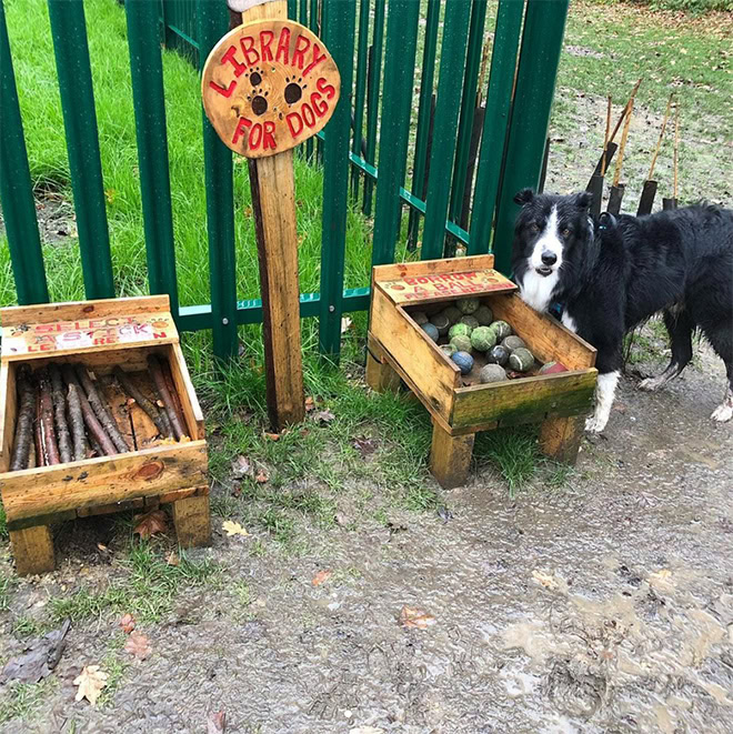 Dog stick library.