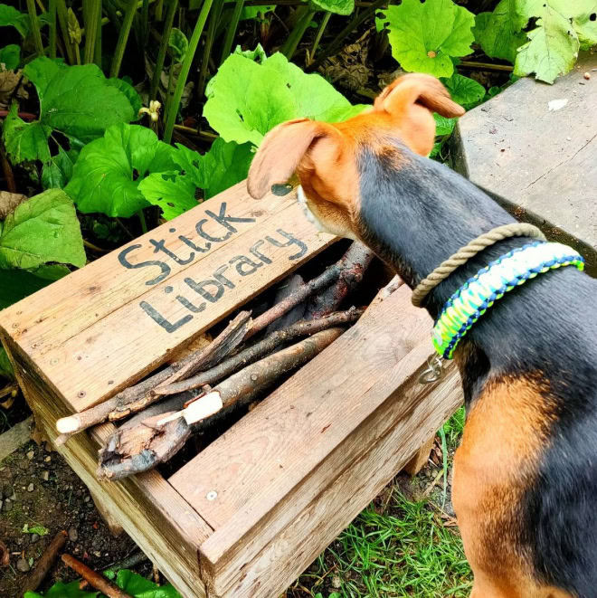 Dog stick library.