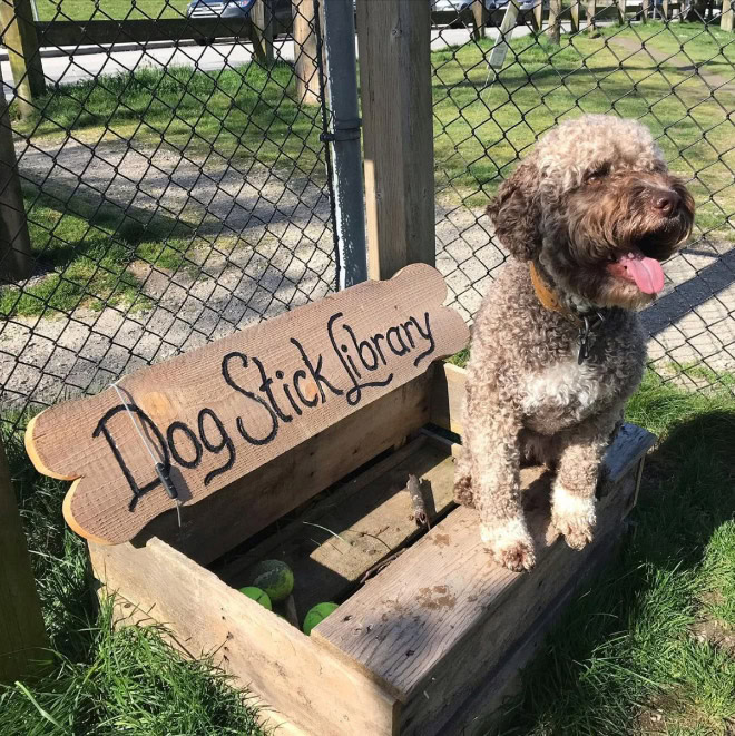 Dog stick library.