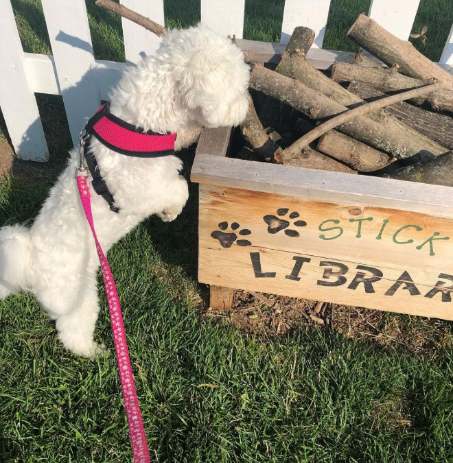 Dog stick library.