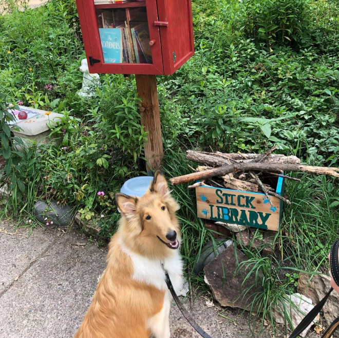 Dog stick library.