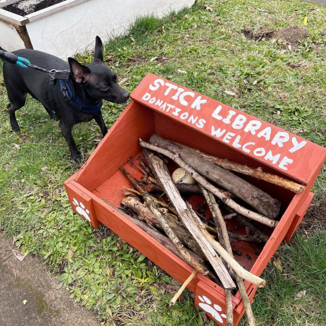 Dog stick library.