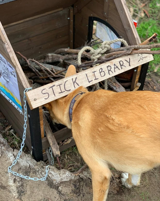 Dog stick library.