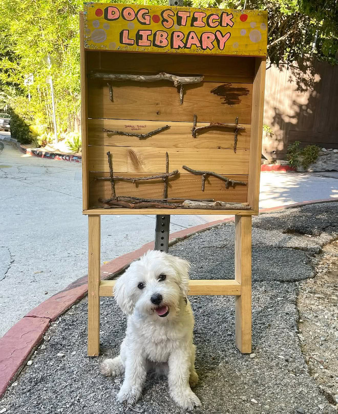 Dog stick library.