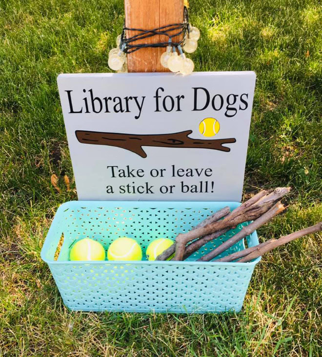 Dog stick library.