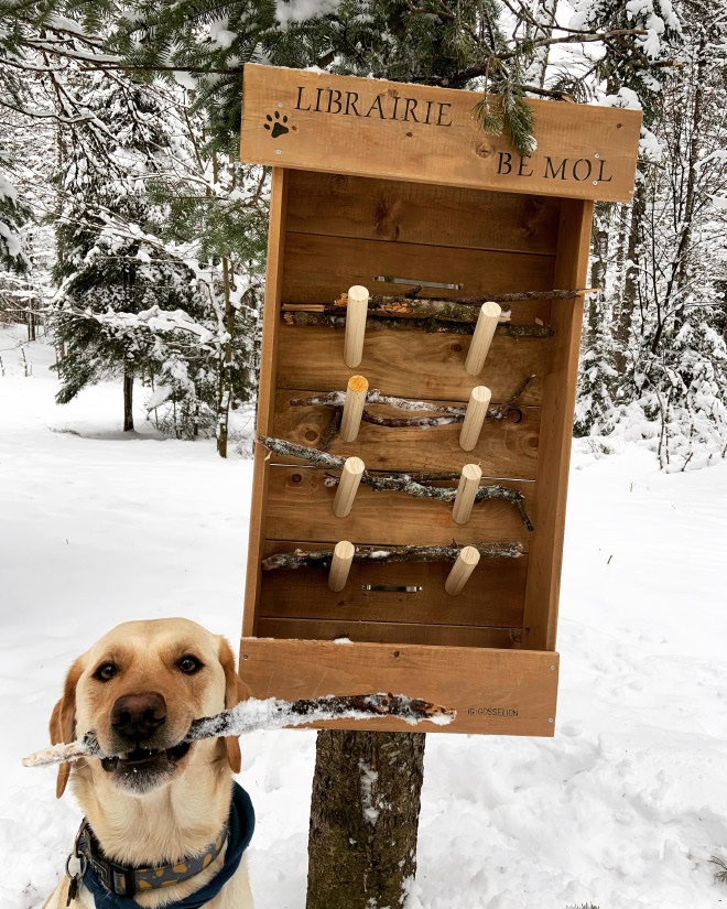 Dog stick library.