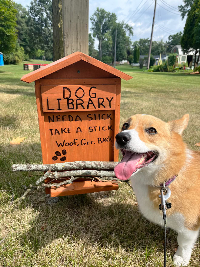 Dog stick library.