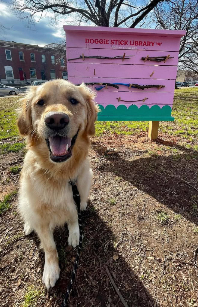 Dog stick library.