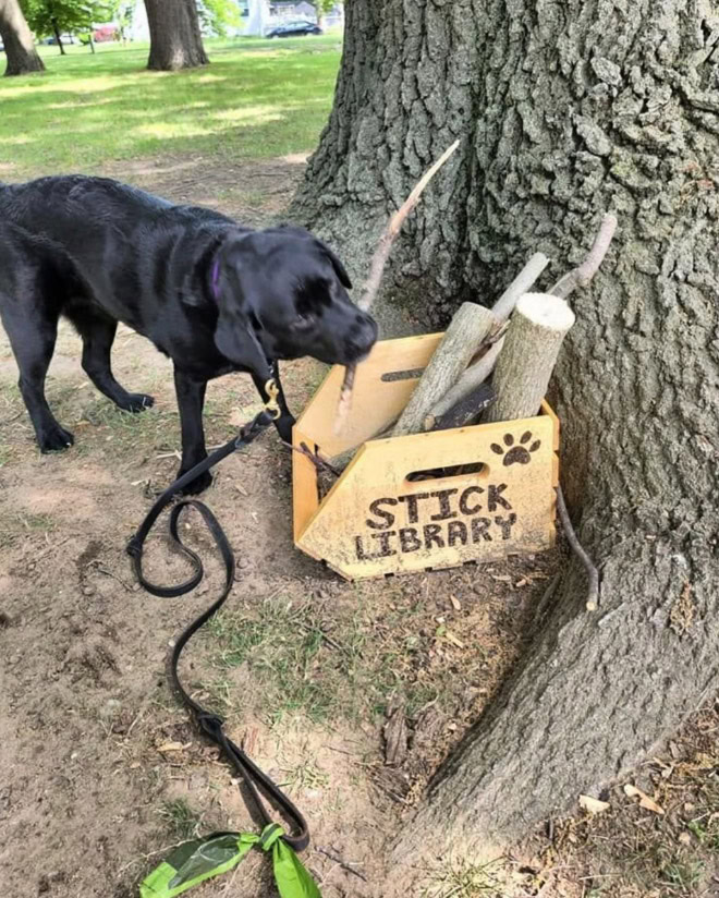 Dog stick library.