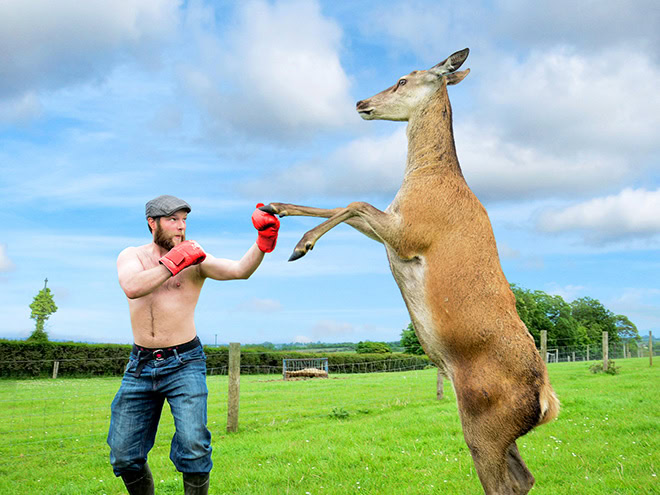 A photo from "Irish Farmer Calendar" - funny stuff.