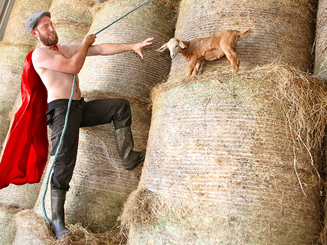 A photo from "Irish Farmer Calendar" - funny stuff.