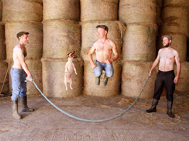 A photo from "Irish Farmer Calendar" - funny stuff.