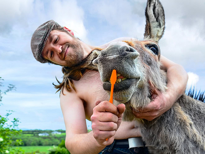 A photo from "Irish Farmer Calendar" - funny stuff.