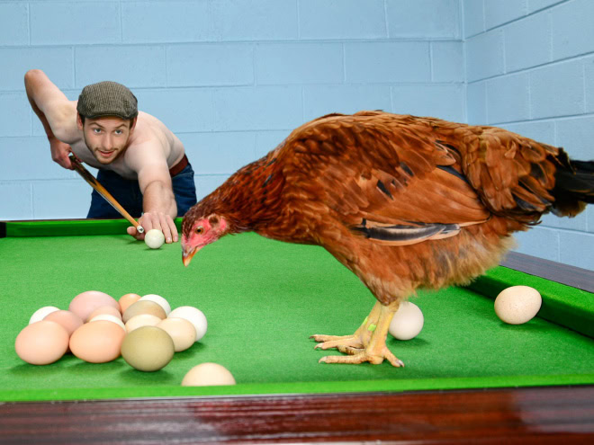 A photo from "Irish Farmer Calendar" - funny stuff.